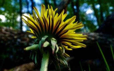 Petite pause: palming!