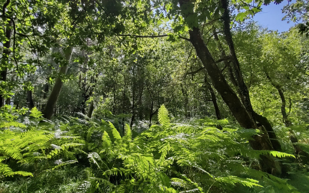 Pas de nouvelles, bonnes nouvelles… On respiiiire! :-)