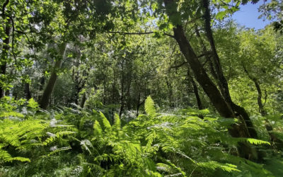 Pas de nouvelles, bonnes nouvelles… On respiiiire! :-)